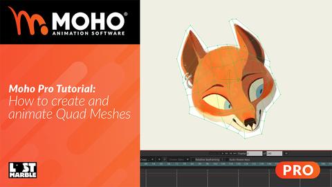 Moho Pro Tutorial: How to create and animate Quad Meshes